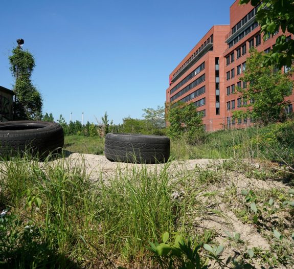 friches-industrielles-reabilite-solaire