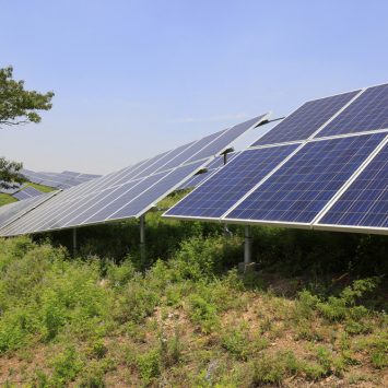Installation-de-panneaux-solaires-sur-des-terrains-pollués